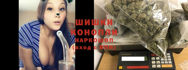 индика Михайловск