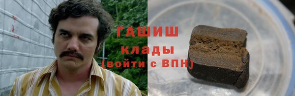 индика Михайловск