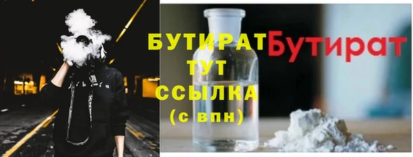индика Михайловск