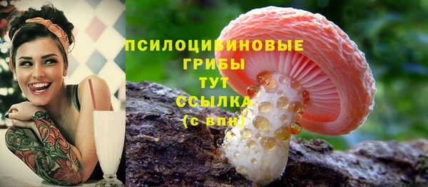 спайс Михайлов