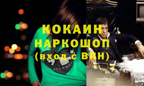 индика Михайловск