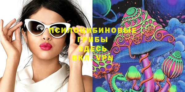 спайс Михайлов