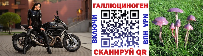 Галлюциногенные грибы GOLDEN TEACHER Купить где Новая Ляля
